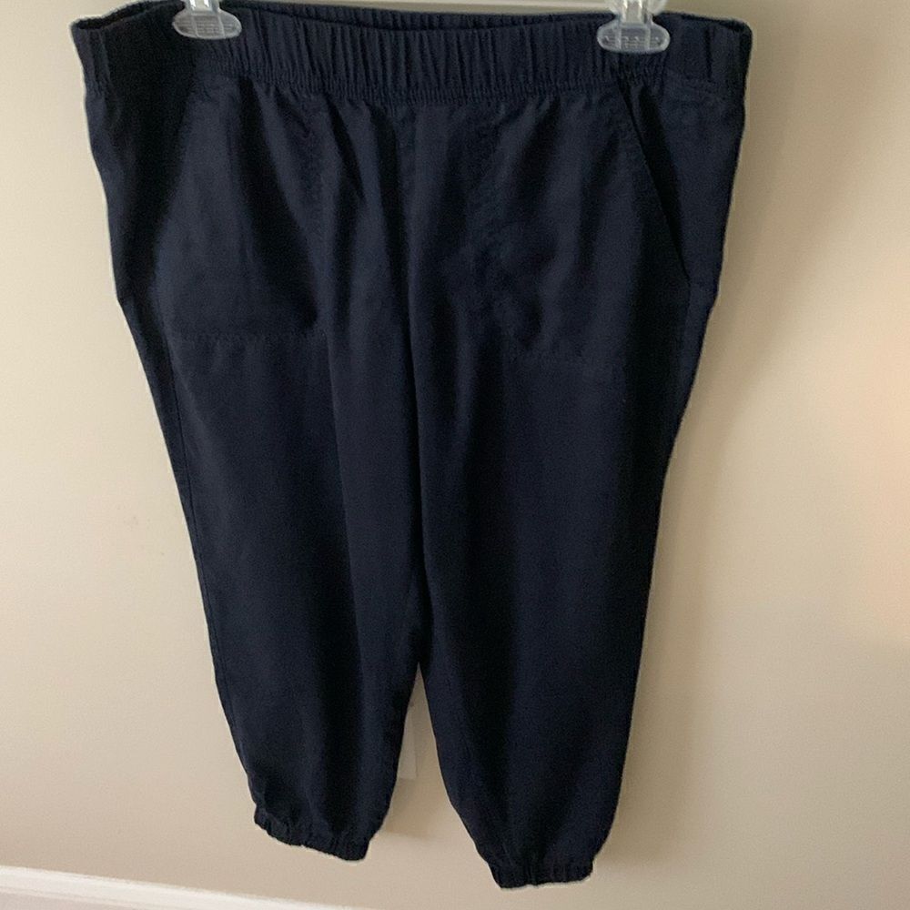 Talbots joggers 